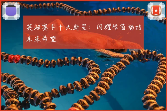 英超赛季十大新星：闪耀绿茵场的未来希望