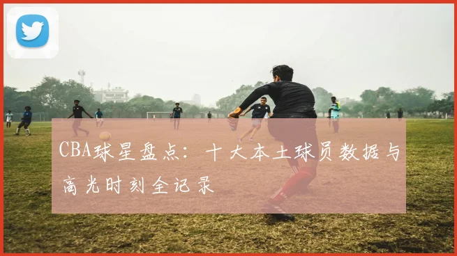 CBA球星盘点:十大本土球员数据与高光时刻全记录