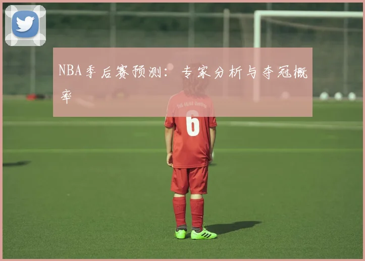 NBA季后赛预测:专家分析与夺冠概率