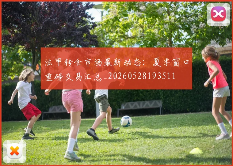 法甲转会市场最新动态:夏季窗口重磅交易汇总_20260528193511